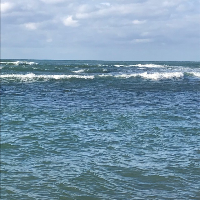 初冬 岩礁帯サーフサラシ撃ち冬のデイシーバス釣行 新潟中越地区の海釣り